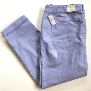 NWT Talbots Woman Purple Boyfriend Ankle Jeans 16W